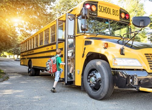 Boy is getting on the school bus