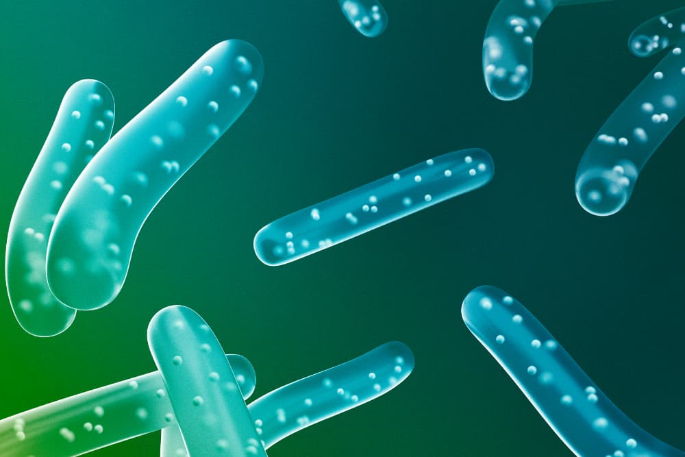 bacteria 3d render
