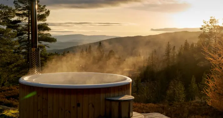 A Hot Tub with a View of a Forest and a Mountain Range