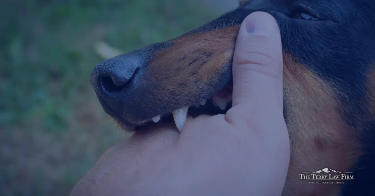 Dog bite injury in Sevierville, Tennessee